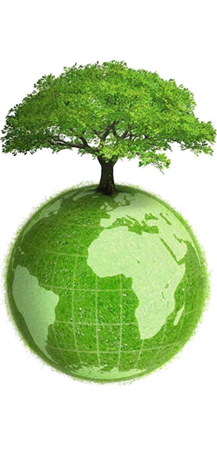 ��ҳ|Z6�����й��ٷ���վ